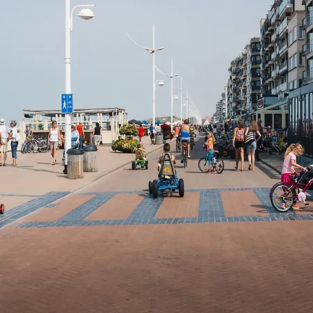 On Zeedijk With Stunning Sea Views
