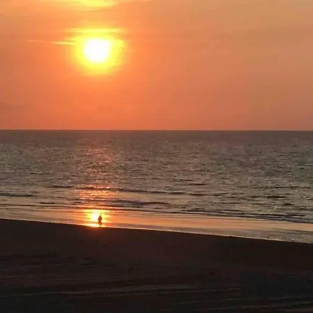 On Zeedijk With Stunning Sea Views 아파트 코크시데