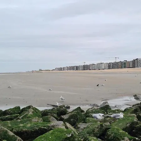 On Zeedijk With Stunning Sea Views 코크시데