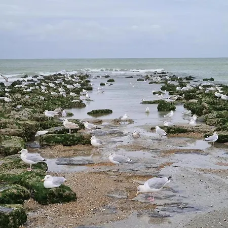 On Zeedijk With Stunning Sea Views 코크시데